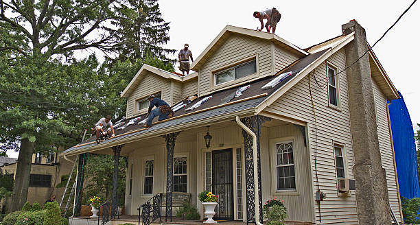 Roof Gutter Cleaning in Bonner Springs, KS